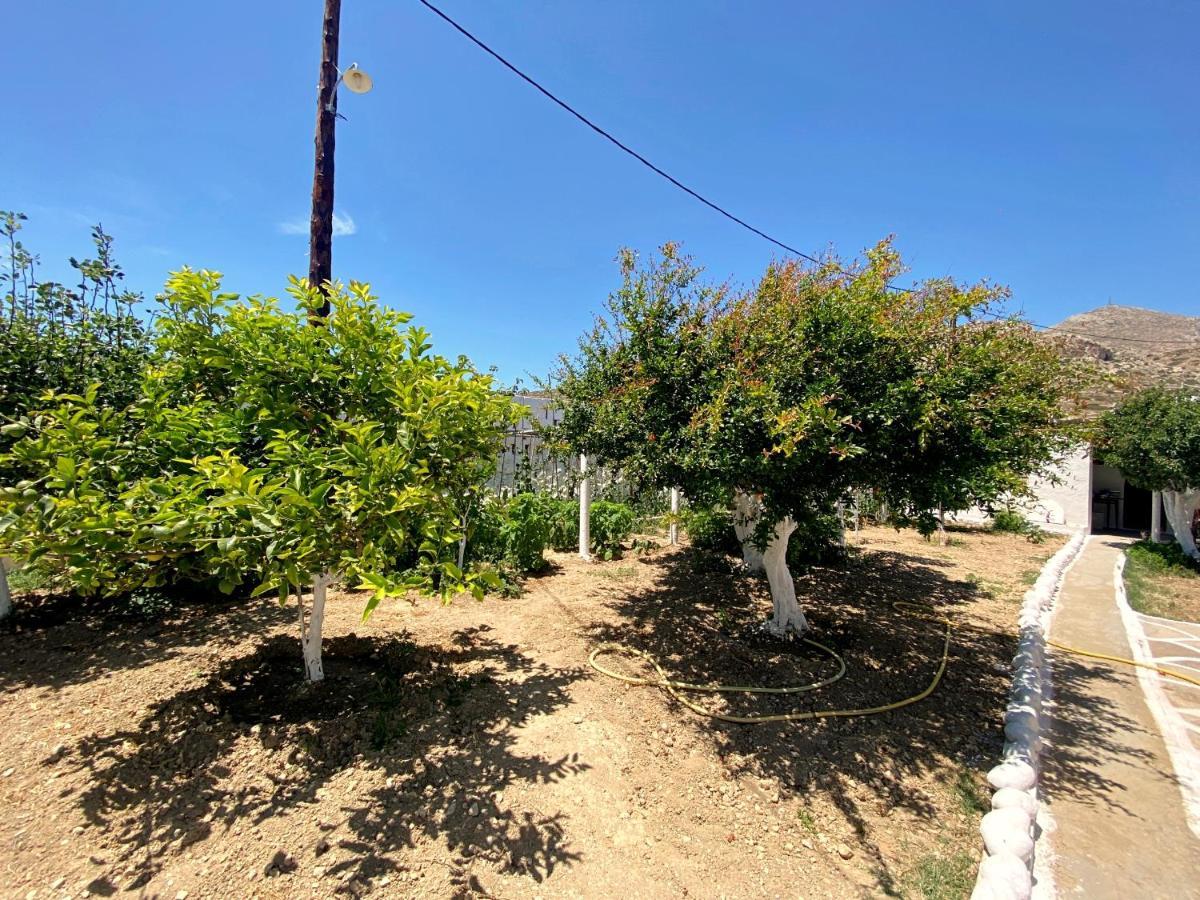 Michail Suites Afiartis Karpathos Exterior photo